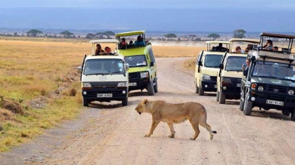 Long Layover in Nairobi? Here Is How to Spend It Well